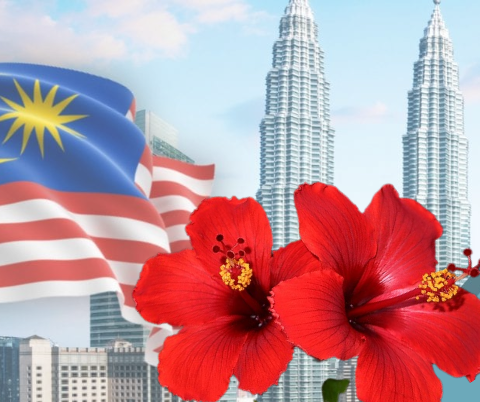 Hibicus – Quốc hoa “xinh đẹp” của Malaysia